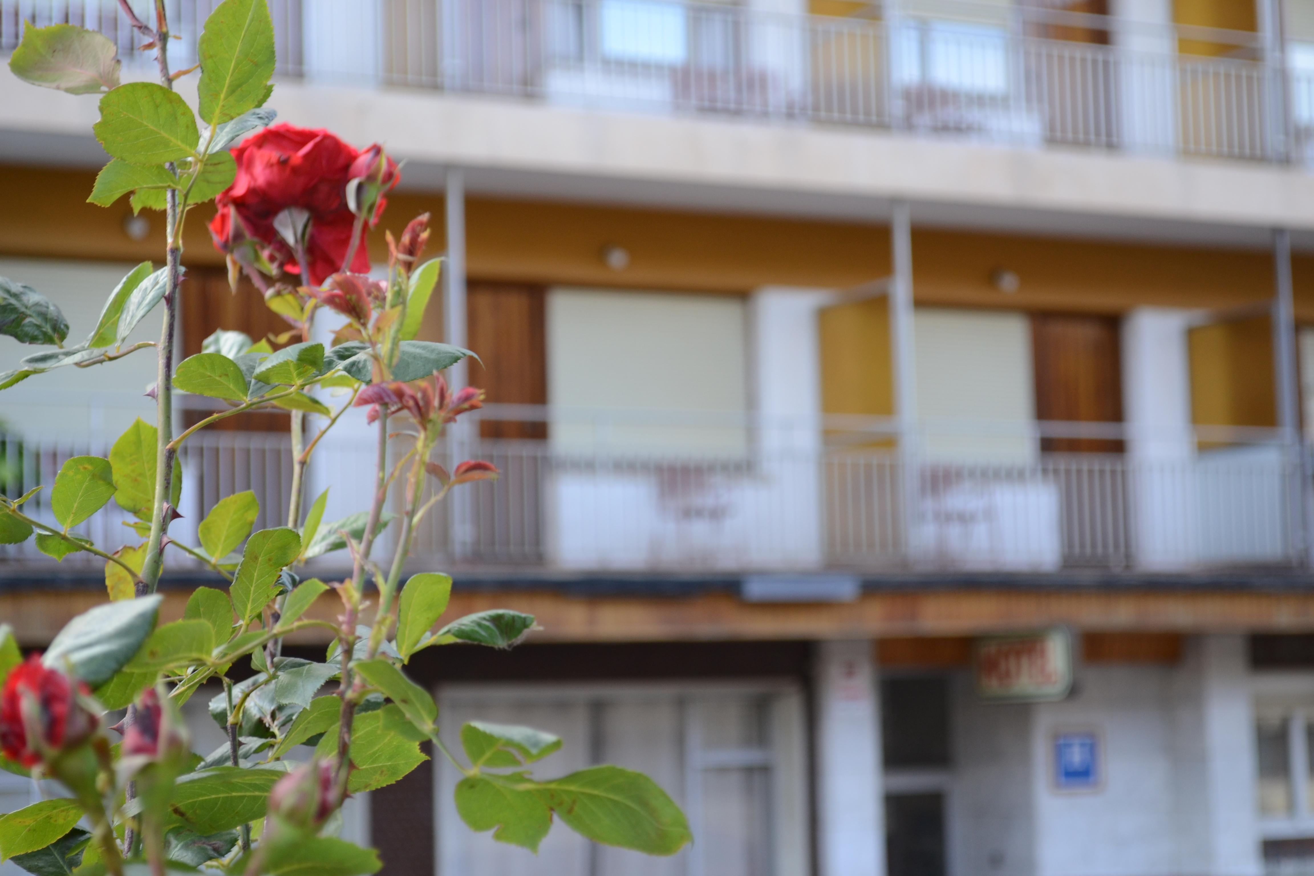 Hotel Mi Casa Sabinanigo Bagian luar foto